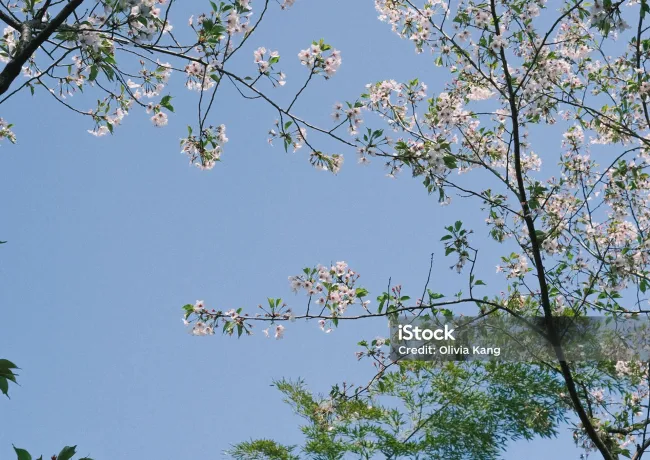 對應相關設施demo